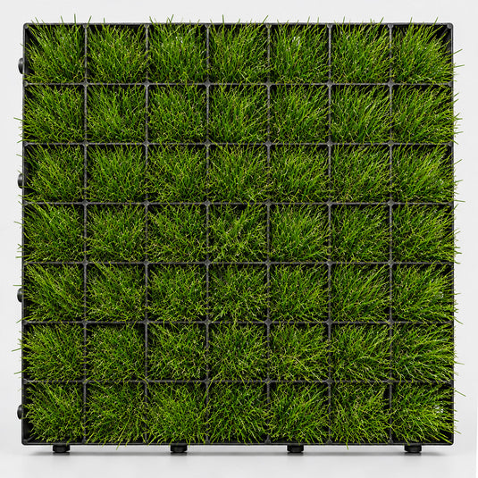 Grass Parking Grids