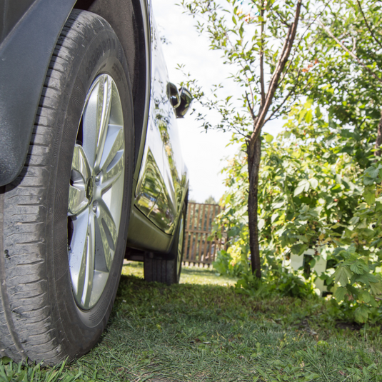 IBRAN-X turf mesh grid for reinforcing grass driveways, car parked on top