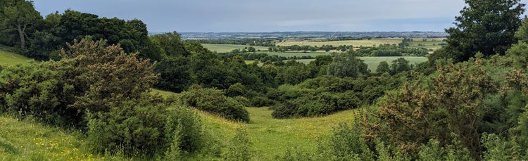 Transforming landscapes in Leicester Hills