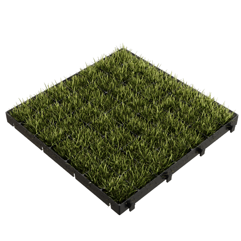 Load image into Gallery viewer, Grass pavers by IBRAN
