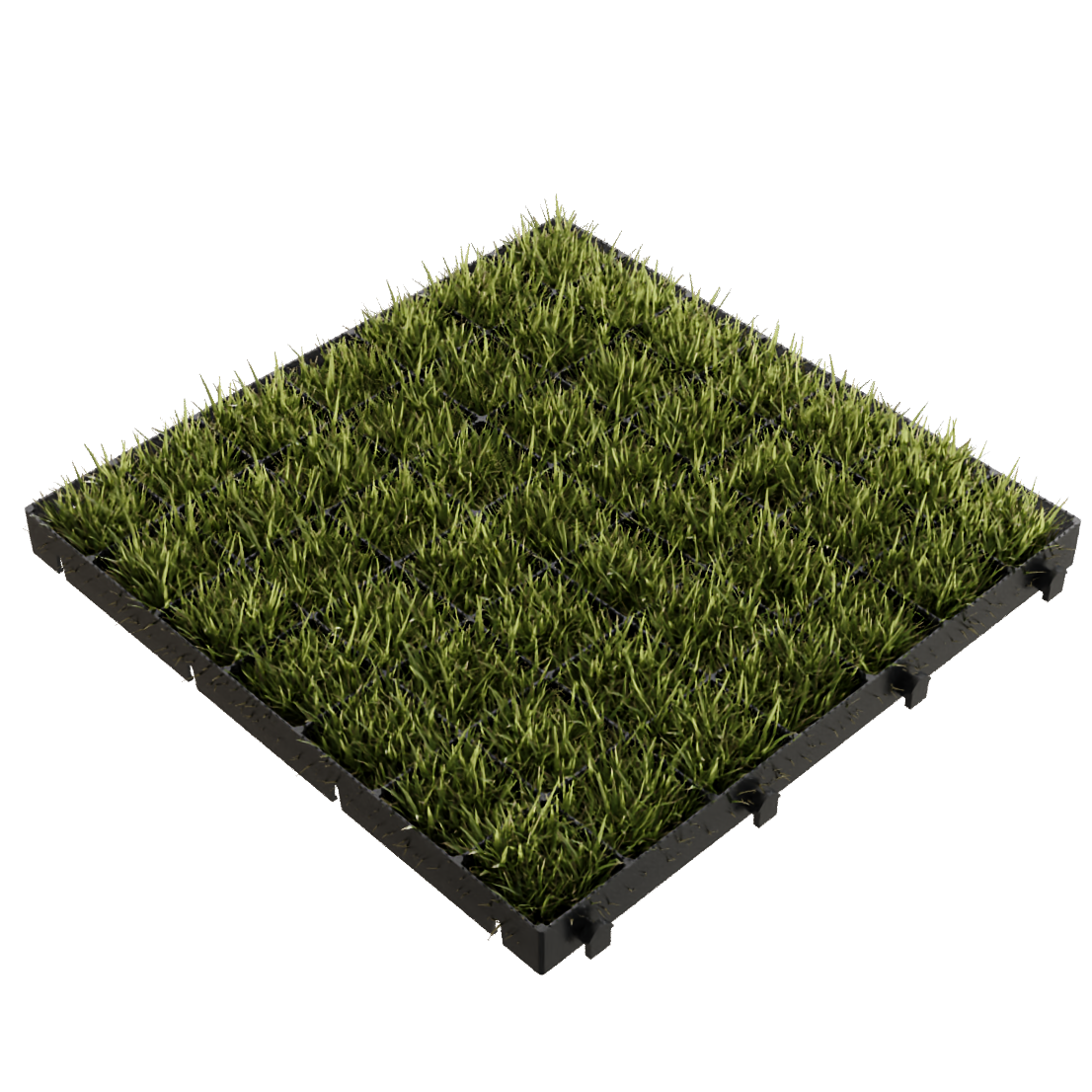 Grass pavers